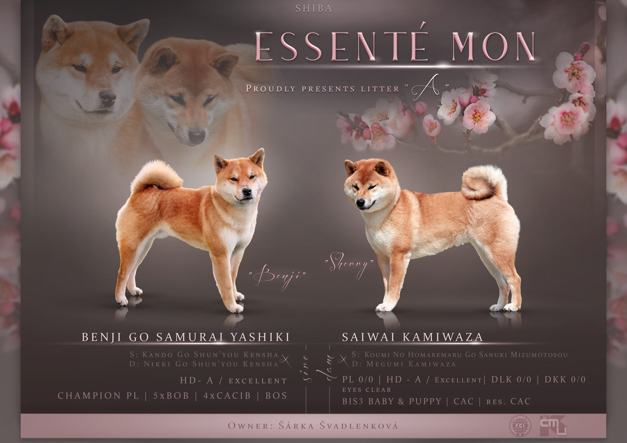 ESSENTÉ MON menšísoubor